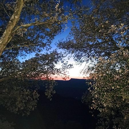La Terraza Hotel Banyoles Buitenkant foto