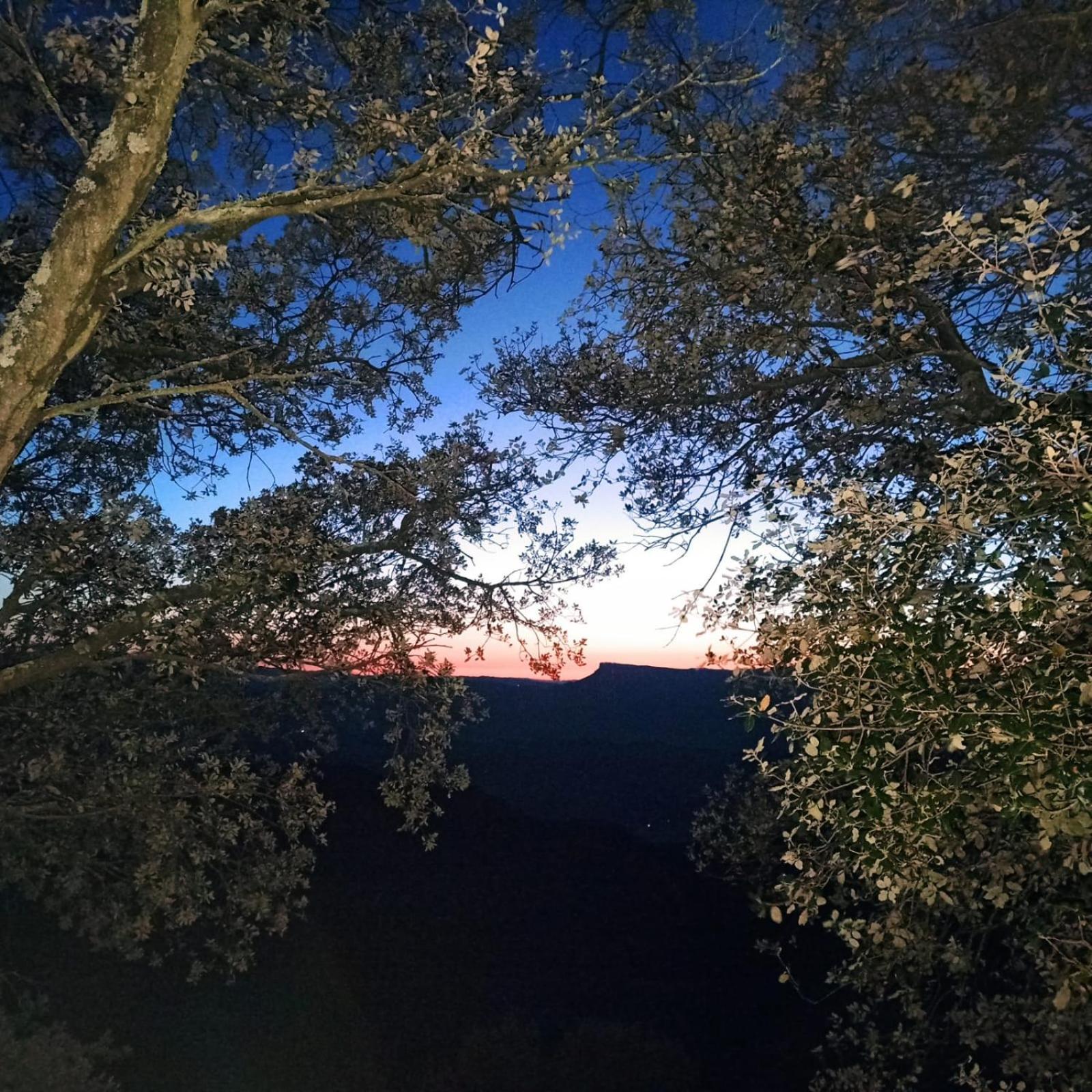 La Terraza Hotel Banyoles Buitenkant foto